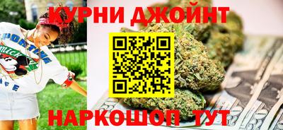 сатива Краснознаменск