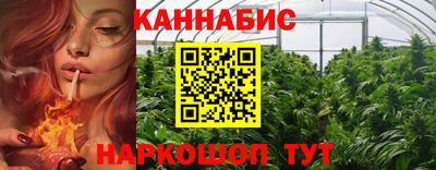сатива Краснознаменск