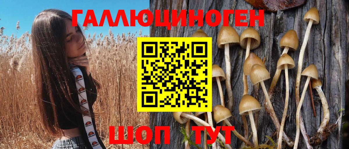 Заводоуковск  Псилоцибиновые грибы Psilocybine cubensis  купить наркотик  Вход с VPN 